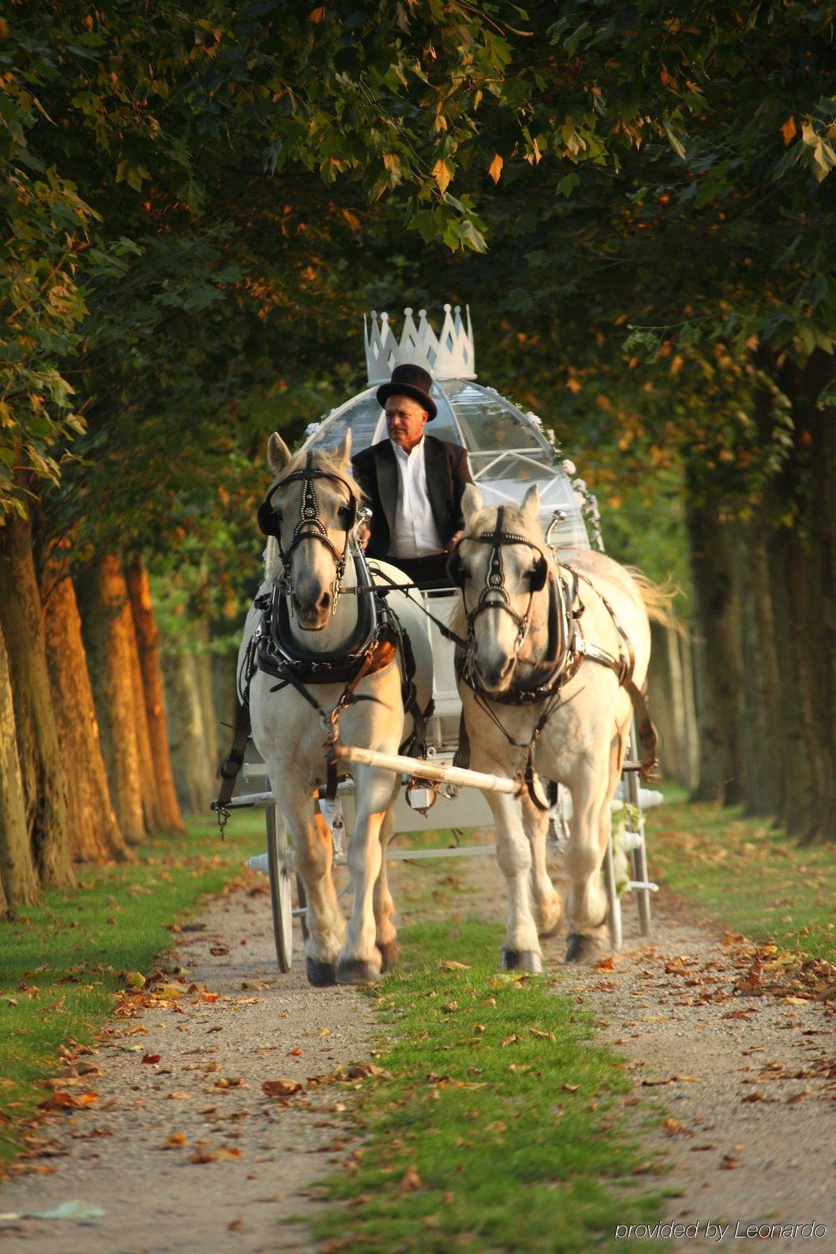 Oheka Castle Hotel & Estate Хънтингтън Екстериор снимка