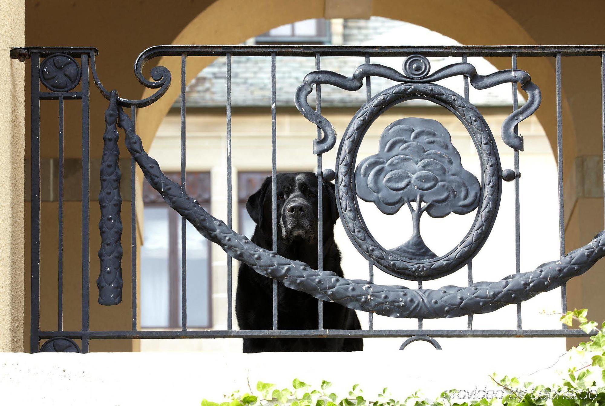 Oheka Castle Hotel & Estate Хънтингтън Екстериор снимка